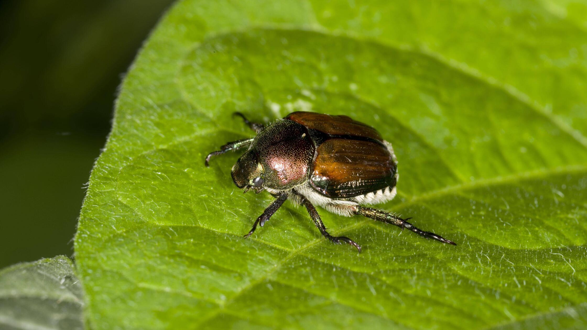 imago images 161409677