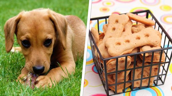 2024-07-08_12-59_collage