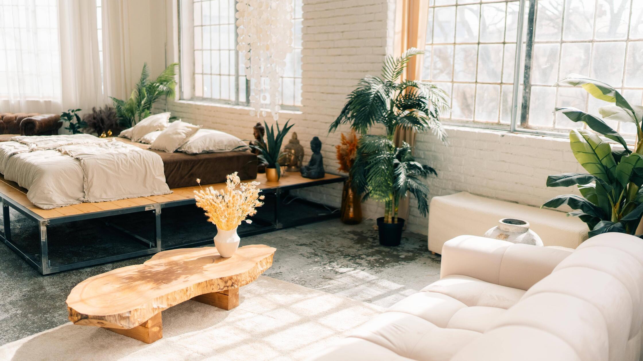 Pflanzen für Schlafzimmer Diese 10 Pflanzen eignen sich