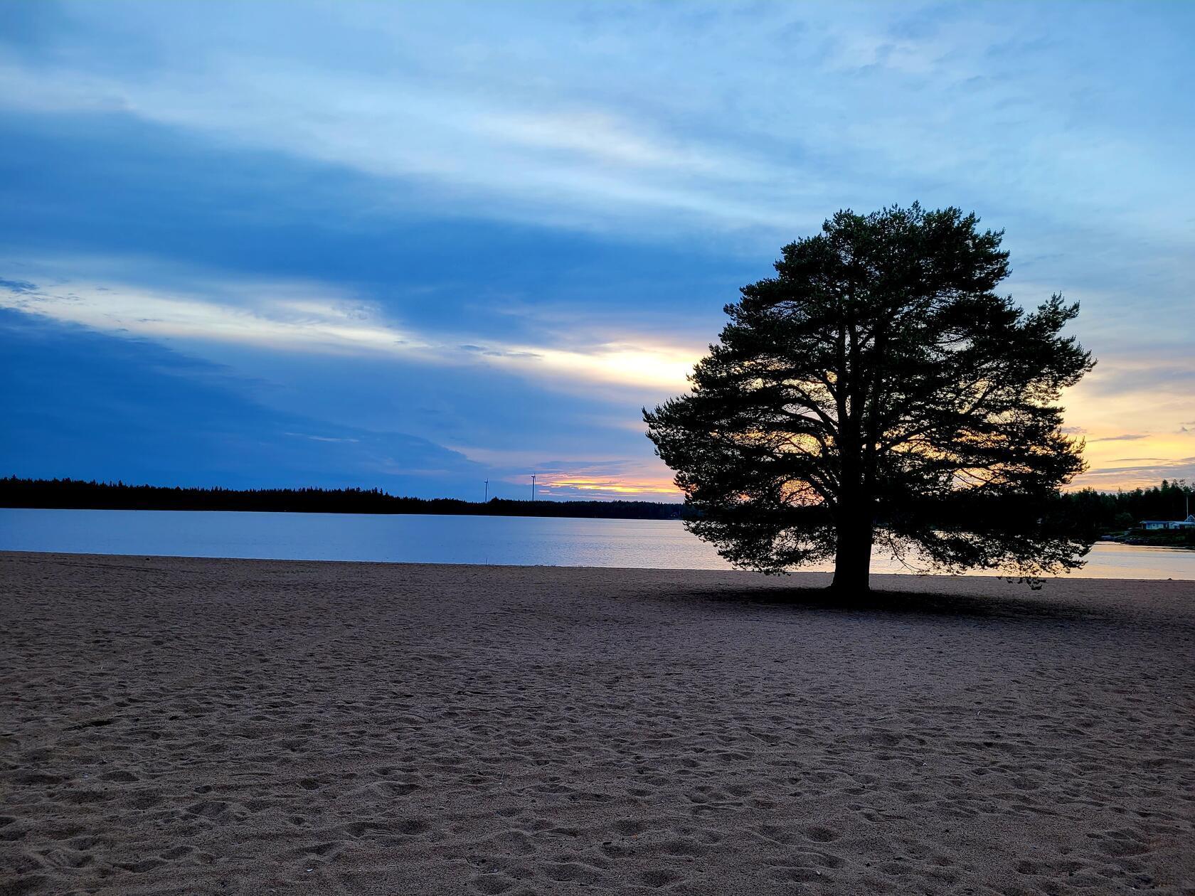 Idylle und Ruhe: Das sind die beiden vorherrschenden Aspekte, die für eine Reise nach Schwedisch Lappland, an den arktischen Polarkreis, sprechen. Denn: Wer sich zu viel im Hamsterrad der Gesellschaft gedreht hat, kommt hier schnell auf den Boden der Tatsachen - so unberührt scheint das Leben und vor allem die Natur in diesen Breitengraden zu sein. In Frevisören/Båtskärsnäs können Camper entweder direkt am Wasser stehen oder sich einen der Bungalows (mit eigener Sauna) nehmen.