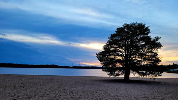 Idylle und Ruhe: Das sind die beiden vorherrschenden Aspekte, die für eine Reise nach Schwedisch Lappland, an den arktischen Polarkreis, sprechen. Denn: Wer sich zu viel im Hamsterrad der Gesellschaft gedreht hat, kommt hier schnell auf den Boden der Tatsachen - so unberührt scheint das Leben und vor allem die Natur in diesen Breitengraden zu sein. In Frevisören/Båtskärsnäs können Camper entweder direkt am Wasser stehen oder sich einen der Bungalows (mit eigener Sauna) nehmen.