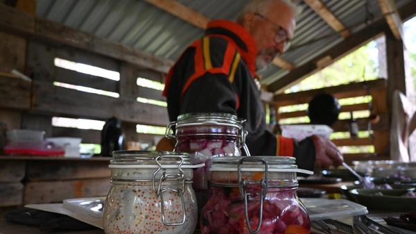 In den rund 100 Nächten der Mittsommersonne, an denen es keinen Nachtschatten gibt, fällt auch der Tag der Sonnenwende am 21. Juni. Dieser Tag gilt in Schweden als zweithöchster Feiertag nach Weihnachten. Das ganze Land ist unterwegs zu Familie und Freunden - gemeinsam wird das typische Mittsommer-Dinner mit Blumenkranz im Haar und viel Aquavit (Schwedisch: "Snaps") zum Herunterspülen verzehrt. Dazu werden laut Trinklieder gesungen.