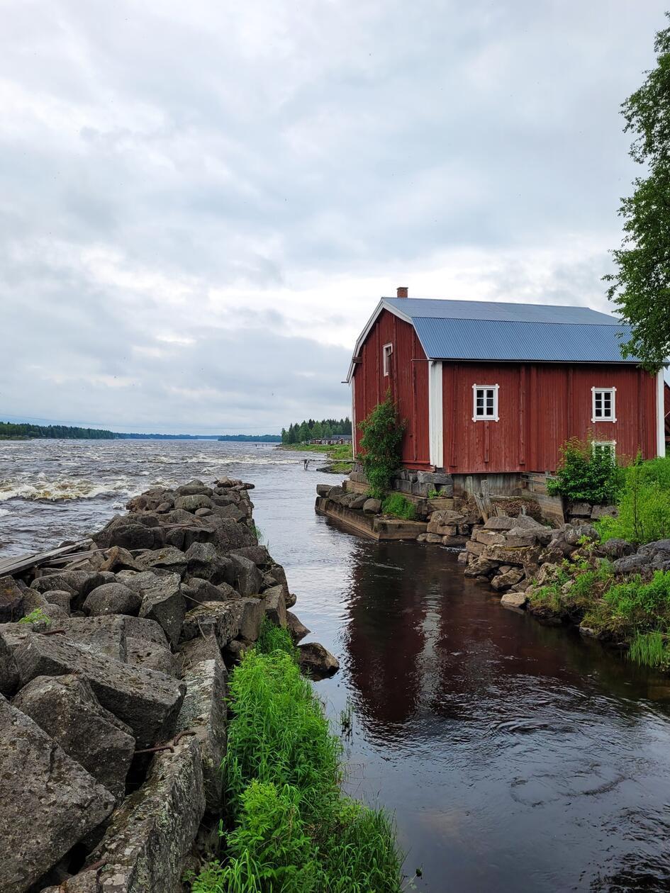 65 Prozent des Lachsaufkommens in der Baltischen See stammen aus dem Fluss Torneo. Hier in Kukkolaforsen werden Träume aus Bullerbü wahr. Hier ist Schweden so dermaßen kitschig und klassisch, wie es in Reiseführern oder Magazinen vermittelt wird.