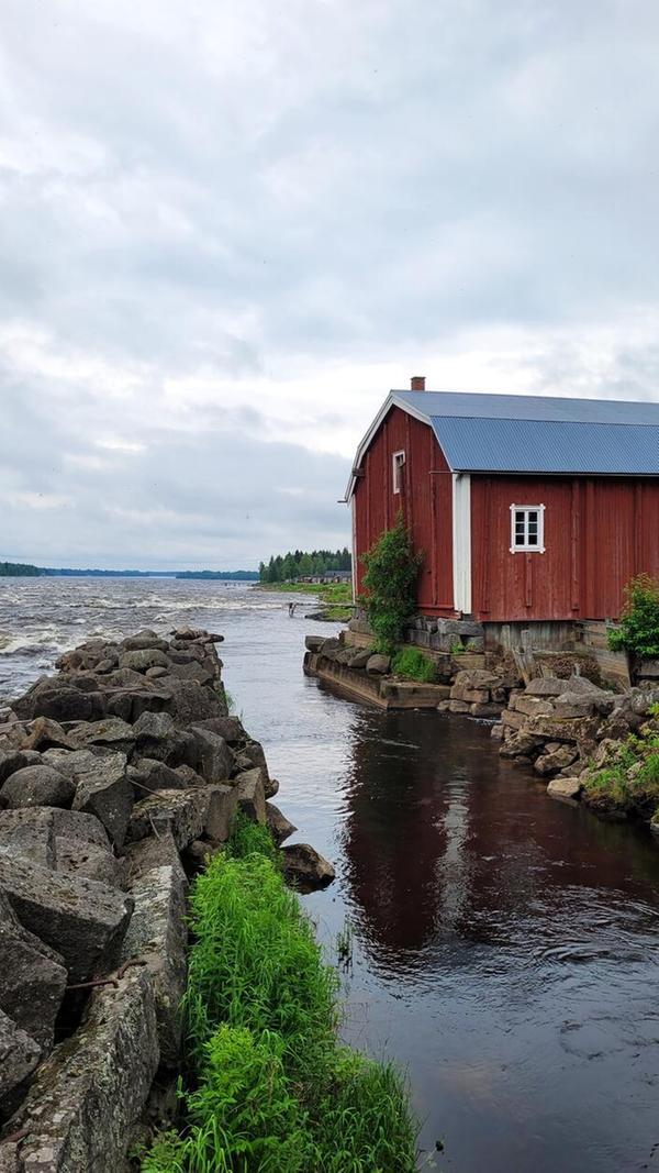 65 Prozent des Lachsaufkommens in der Baltischen See stammen aus dem Fluss Torneo. Hier in Kukkolaforsen werden Träume aus Bullerbü wahr. Hier ist Schweden so dermaßen kitschig und klassisch, wie es in Reiseführern oder Magazinen vermittelt wird.