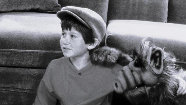 Der gefeierte Kinderstar Benji Gregory wurde in den 80er-Jahren durch seine Rolle des Brian Tanners in der Kult-Serie "Alf" bekannt. Der Schauspieler war am 13. Juni in Peoria (Arizona) gestorben. Etwa einen Monat nach dem Tod Gregorys teilte seine Schwester sein Ableben mit den örtlichen Nachrichtenportalen. Es sei ein schwerer Verlust für die Familie, erklärt sie gegenüber "TMZ".