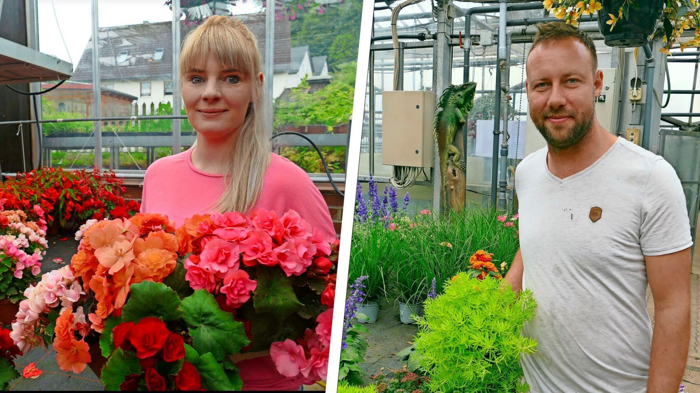 Arbeitserleichterung bei Grabpflege im Sommer Gärtner aus der