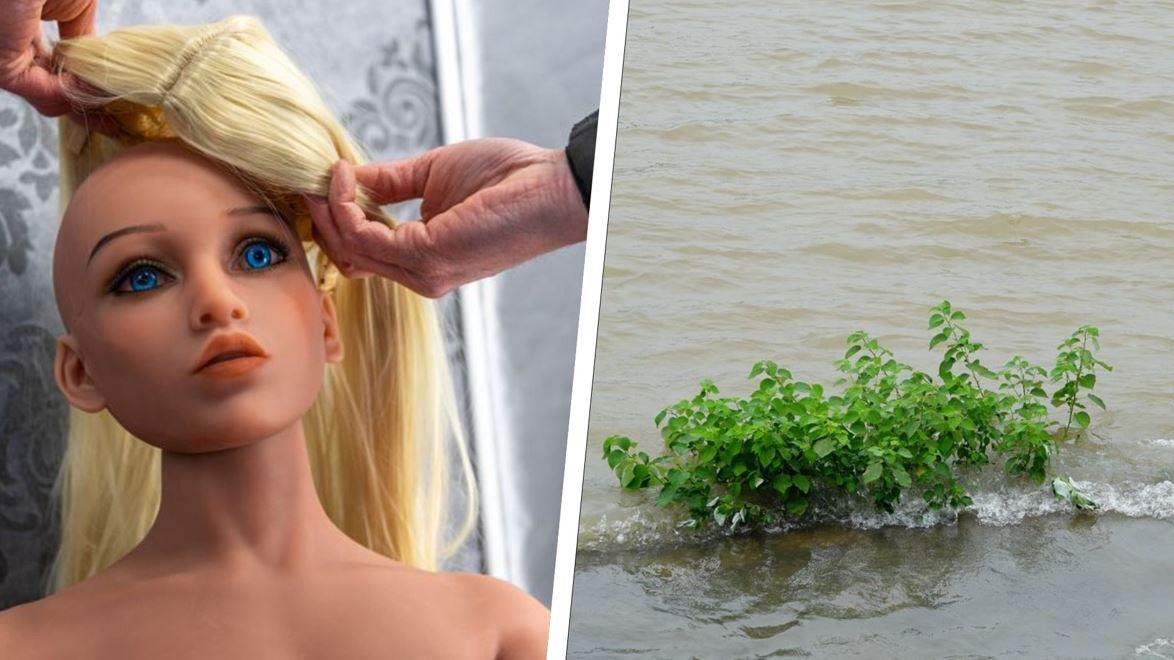 Groeinsatz wegen Sexpuppe: Aufregung in Bayern - "Leblose Person" treibt  auf Wasser