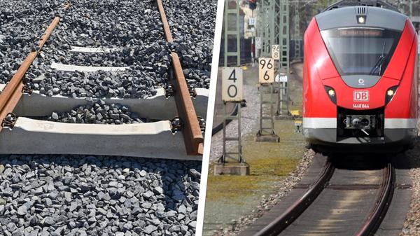 2024-07-23_10-45_collage