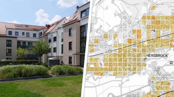 2024-07-25_14-00_collage