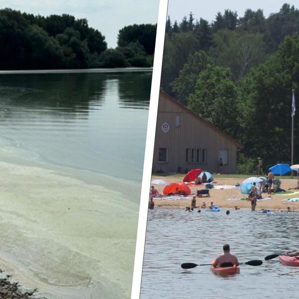 Collage Altmühlsee