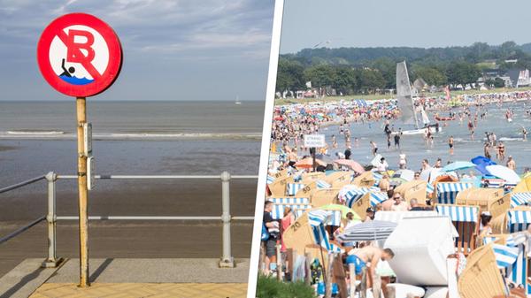 2024-07-30_11-55_collage