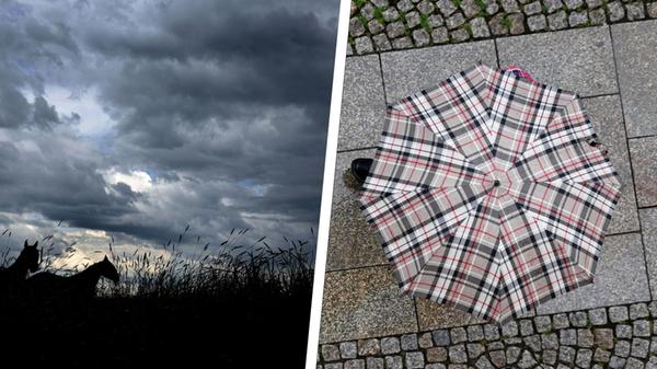 2024-08-03_17-44_collage