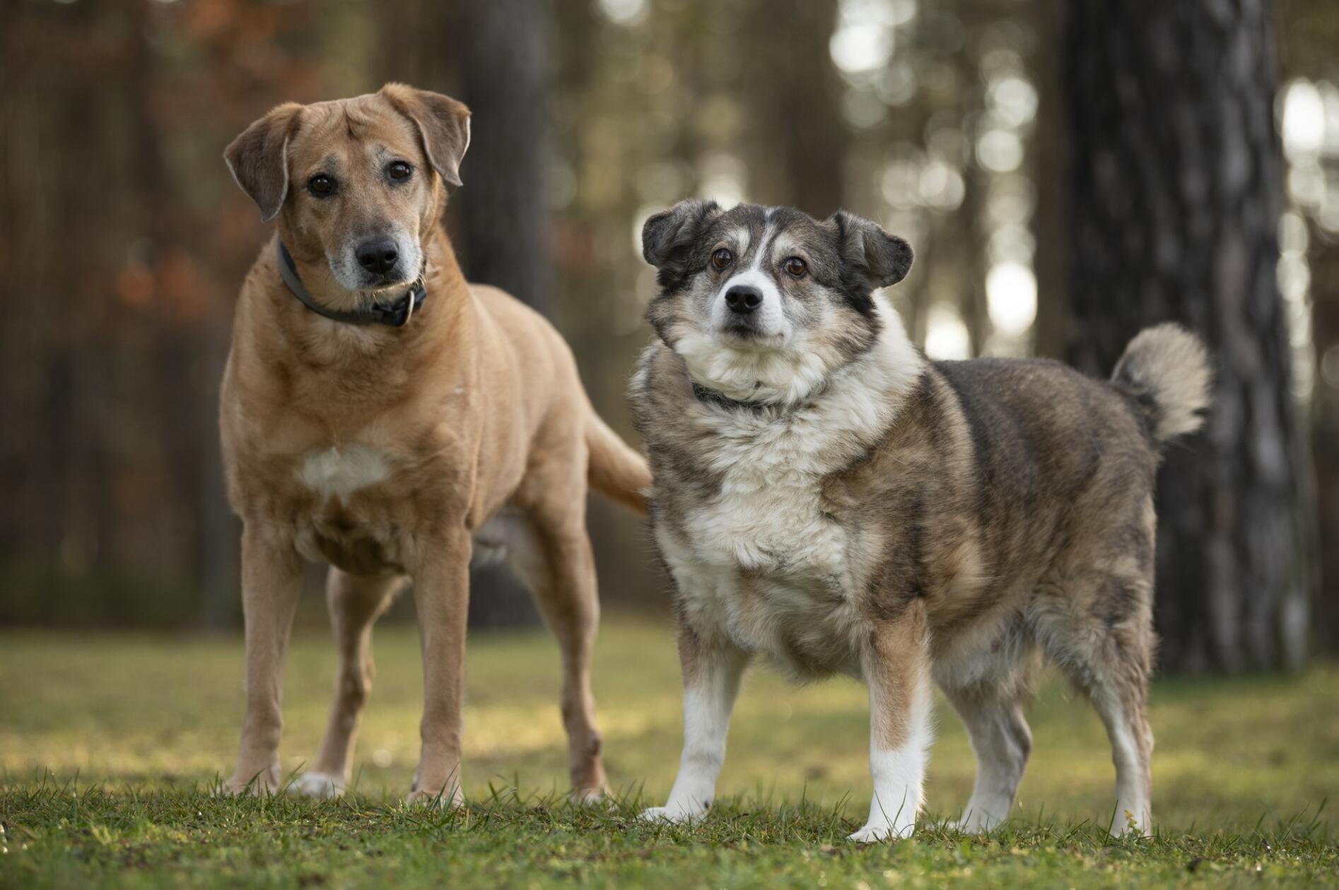 thumbnail_Benni_und_Sandy_1_