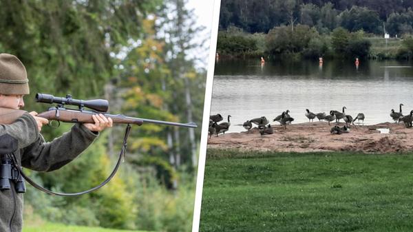 Jäger Gänse Abschuss Rothsee