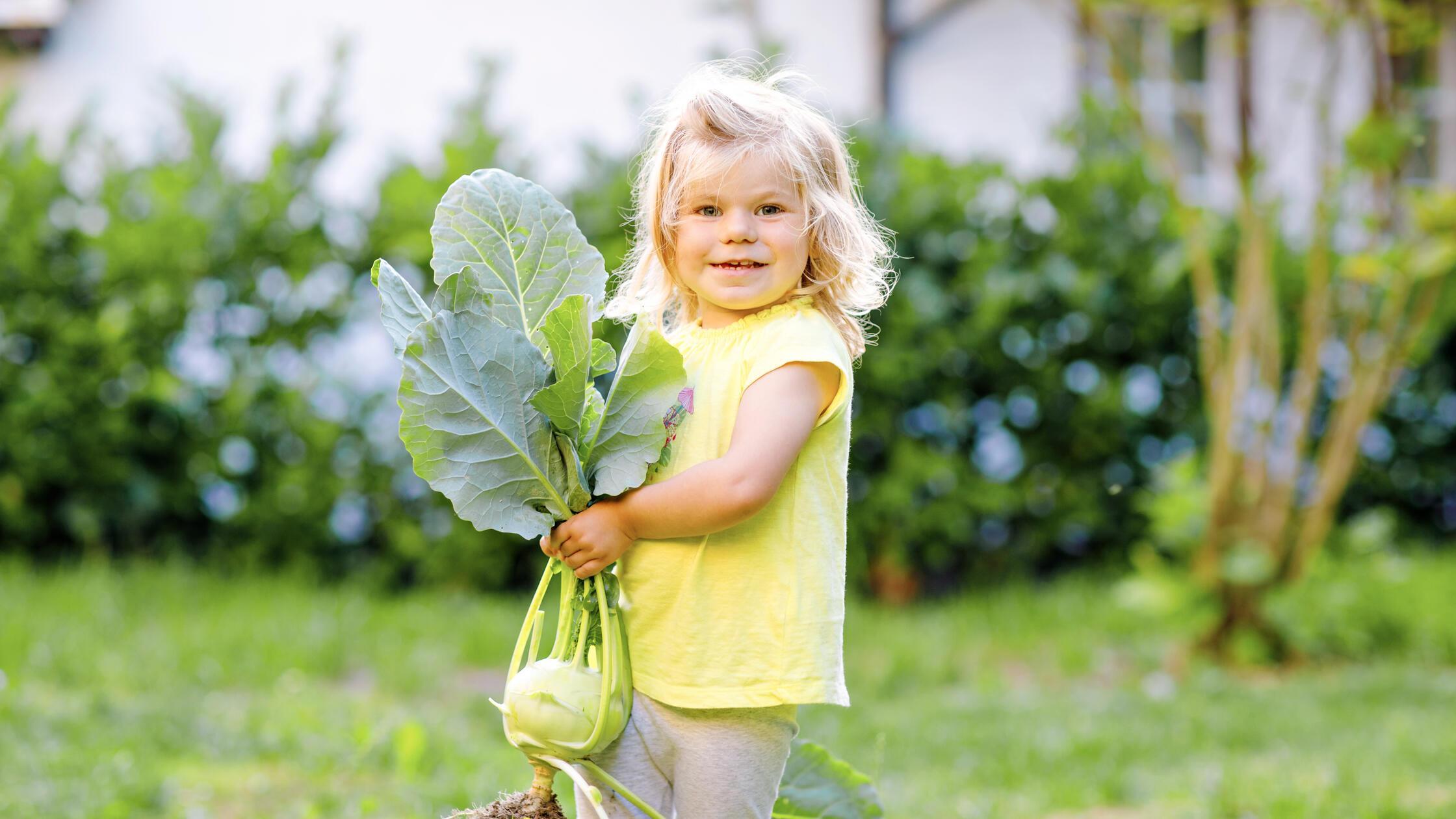 Kohlrabi richtig zubereiten: Mit diesen Tipps gelingt es