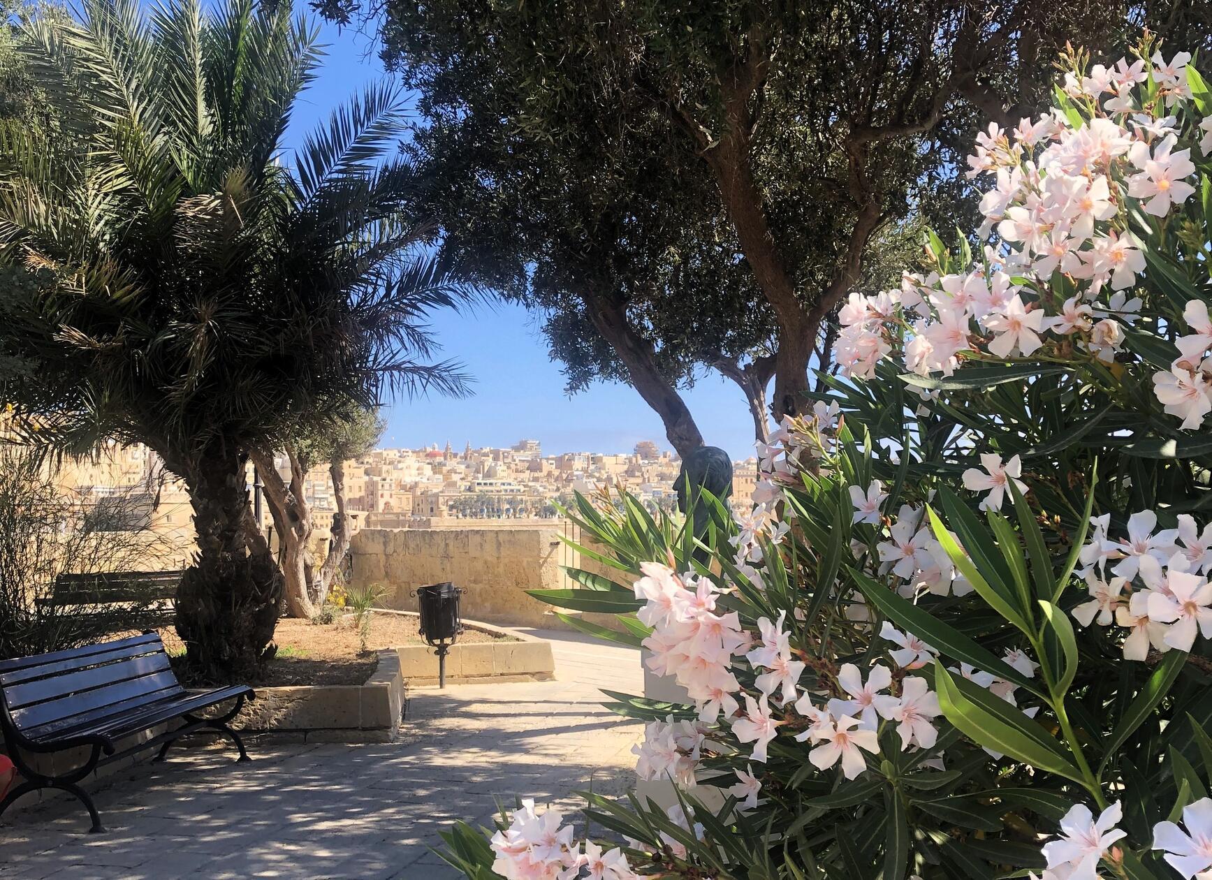Maltas Hauptstadt Valletta ist für ihre besondere Architektur, ihre Museen, Paläste und prachtvollen Kirchen bekannt.