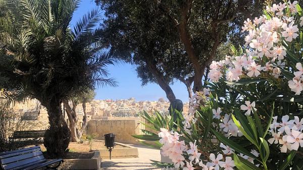 Maltas Hauptstadt Valletta ist für ihre besondere Architektur, ihre Museen, Paläste und prachtvollen Kirchen bekannt.