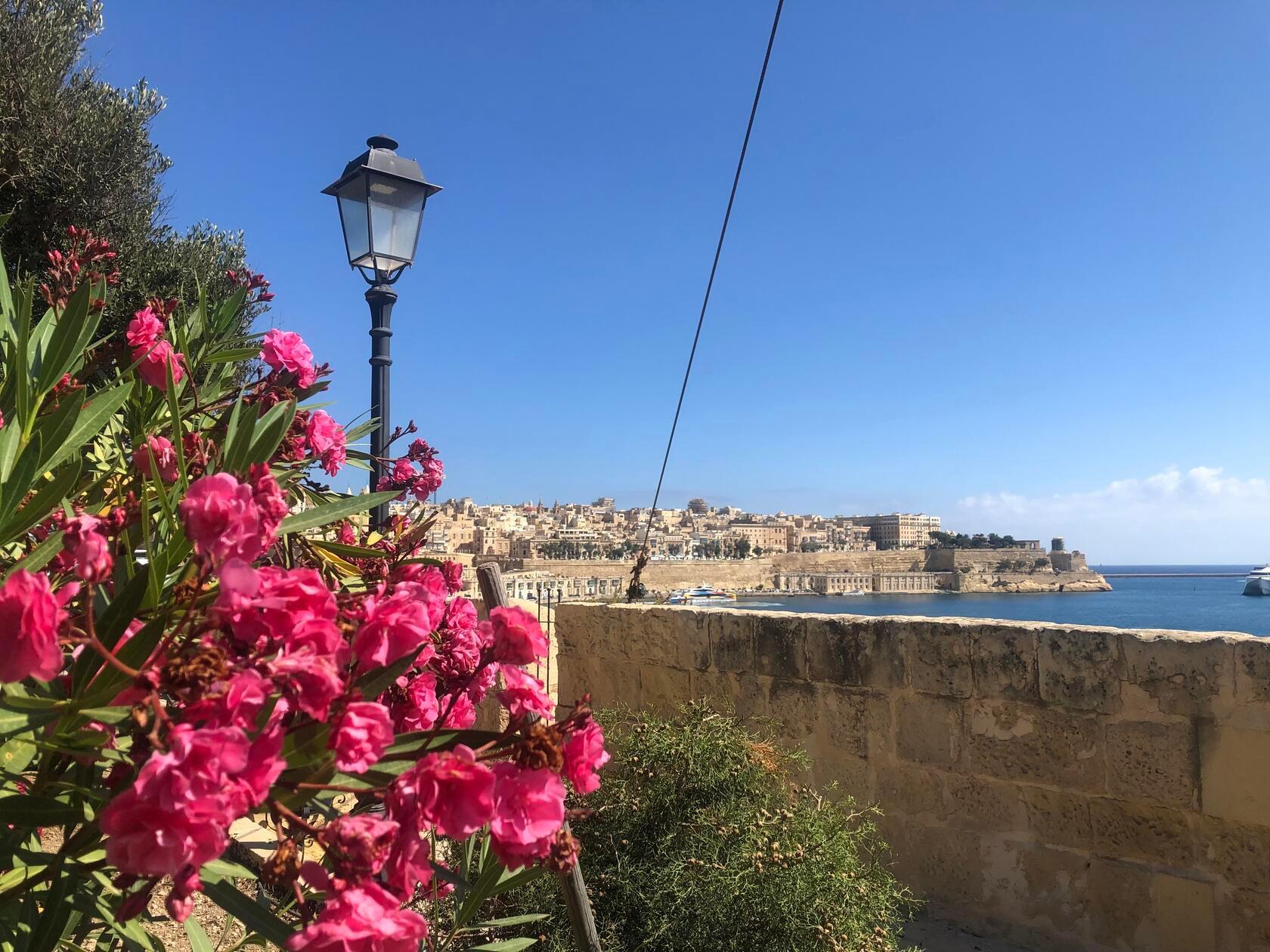Barock ist der einheitliche Baustil in Valletta. Vom italienischen Architekten Francesco Laparelli 1566 am Reißbrett entworfen, sollte sie eine Idealstadt sein: ästhetisch-funktional, gut zu verteidigen und den zeitgenössischen Anforderungen der Maltesischen Ritterorden genügend. In Hinblick auf die osmanischen Angriffe dieser Zeit war alles auf strategische Verteidigung ausgelegt, auf die Kontrolle des größten Naturhafens des Mittelmeers, umgeben von Forts – das prägt bis heute das Antlitz der Stadt.