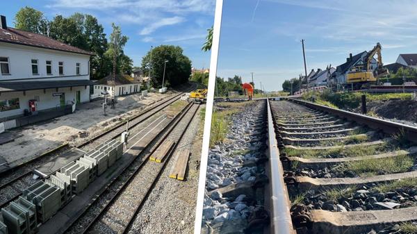 2024-08-08_11-53_collage