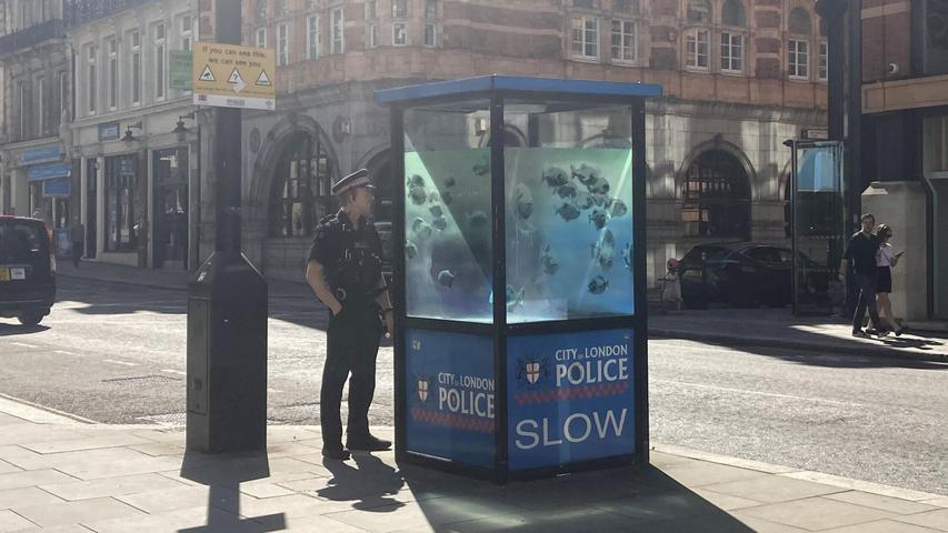 Das Polizeihäuschen ähnelt einer Telefonzelle, wirkt aber mit den Banksy-Fischen wie ein Aquarium. Das Polizeihäuschen ähnelt einer Telefonzelle, wirkt aber mit den Banksy-Fischen wie ein Aquarium.