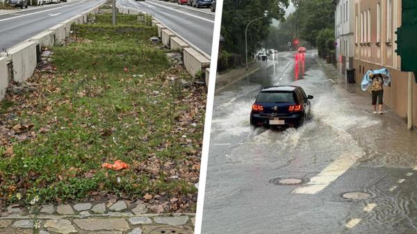 2024-08-11_15-07_collage