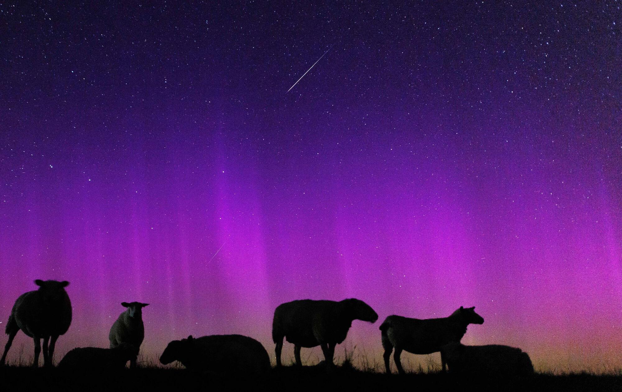 Polarlichter und Sternschnuppen: Doppeltes Himmelsspektakel &uuml;ber Bayern