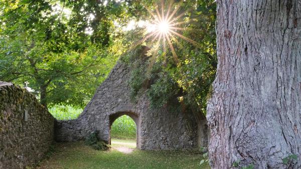 Kapellenruine Arzlohe_ink_240724 (5)