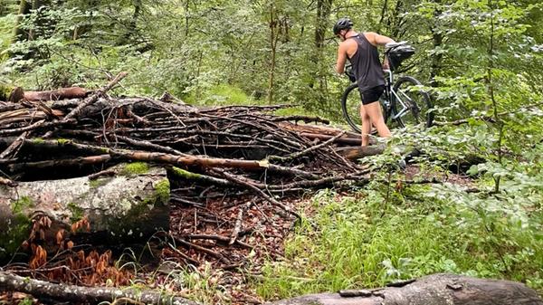 Nürnberg-Venedig-Radreise_Verfahren im Wald