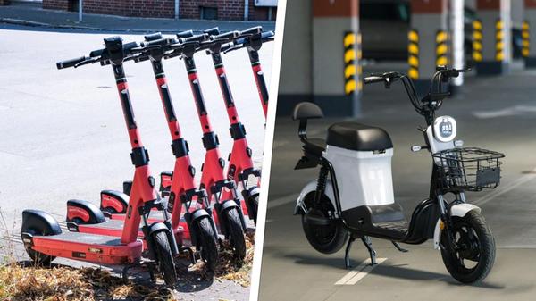 2024-08-12_09-27_collage (1)