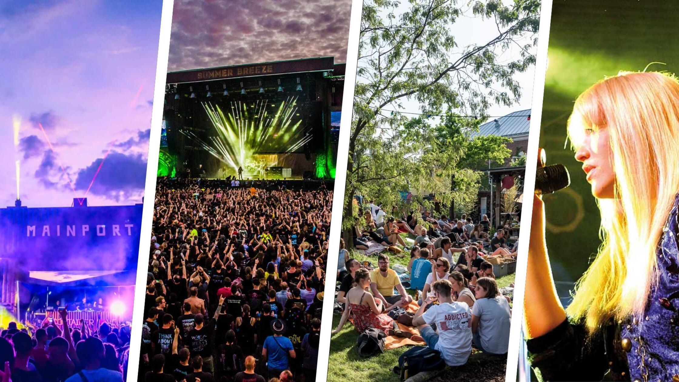 2024-08-14_13-02_collage