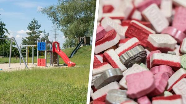 2024-08-15_11-49_collage