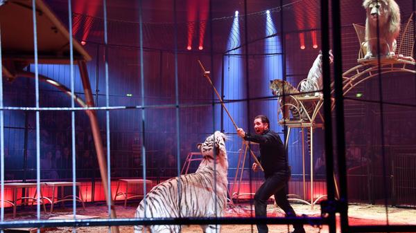 imago images 0379558502