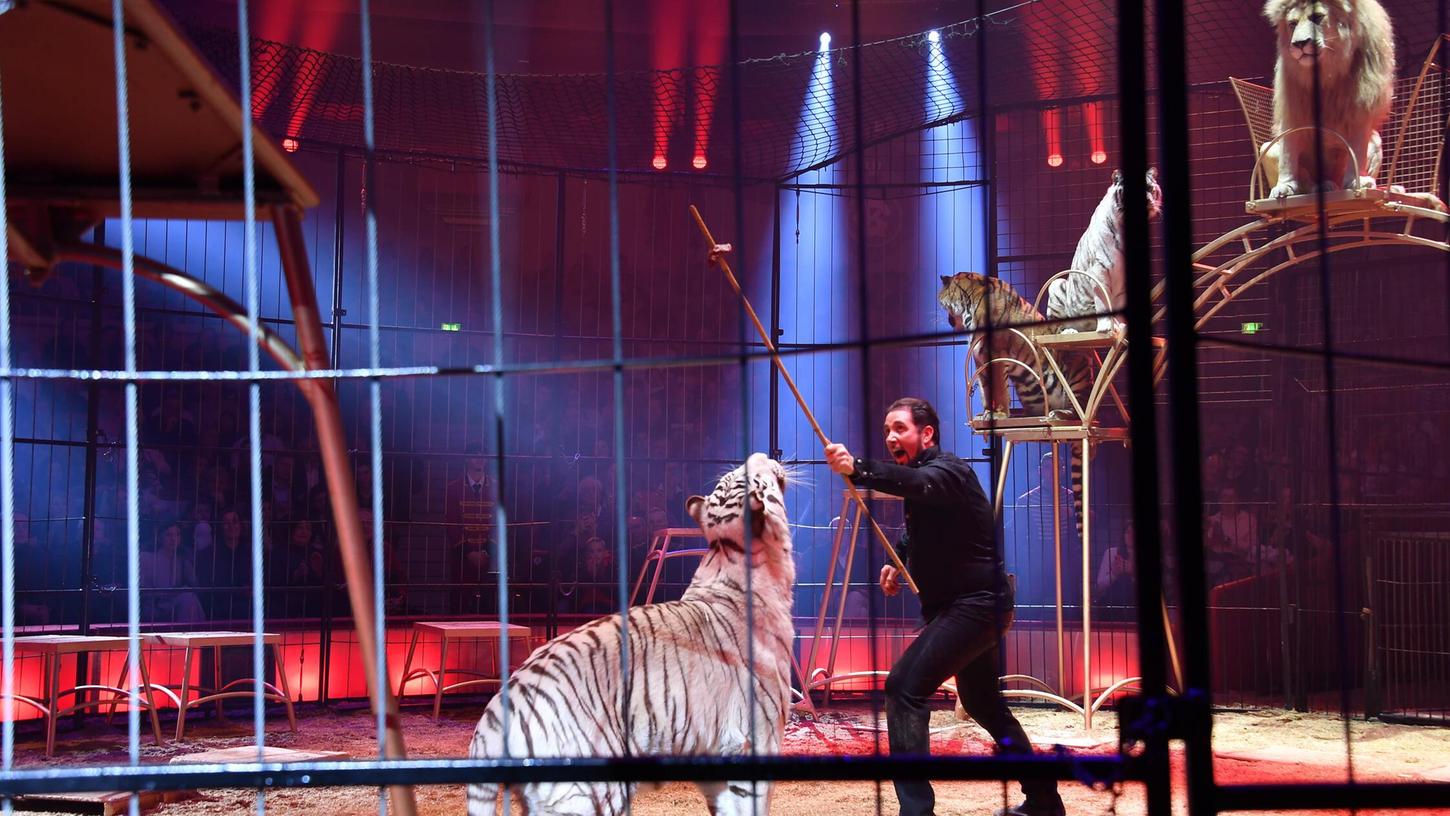 Eine schwere Verletzung bei den Abbauarbeiten überschattet die Shows von Circus Krone. Eine schwere Verletzung bei den Abbauarbeiten überschattet die Shows von Circus Krone.