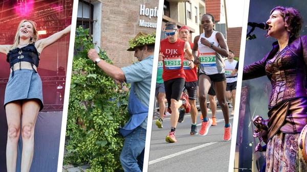 2024-08-28_14-31_collage