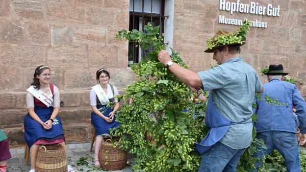 In Spalt dreht sich am Wochenende alles um Hopfen. Besucher des "HopfenZupferFestes" haben die Möglichkeit, von Freitag, 30. August, bis Sonntag, 1. September, an Brau-Kursen und Hopfengarten-Führungen teilzunehmen und bei Live-Musik Spalter Bier sowie Kaffee und Kuchen genießen.