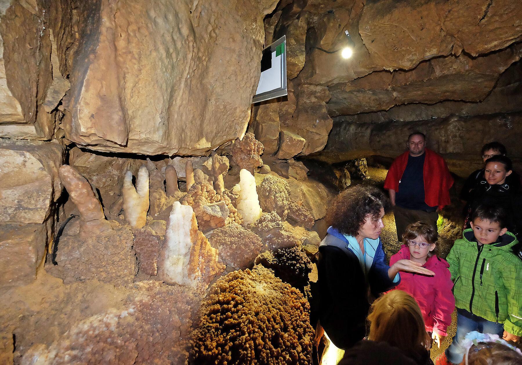 Am Freitag, 30. August, dreht sich in der Binghöhle, in Streitberg alles um Kinder. Den gesamten Tag finden dort verschiedene Führungen für die Kleinen statt. Um 11 Uhr startet die Themenführung Fledermaus für Schulkinder ab acht Jahren, um 14 Uhr die Märchenführung für Kindergartenkinder und um 16 Uhr die Abenteuerführung mit Stirnlampen für Schulkinder ab sieben Jahren. Tickets für die jeweiligen Führungen gibt es an den Kassen vor Ort zu erwerben.