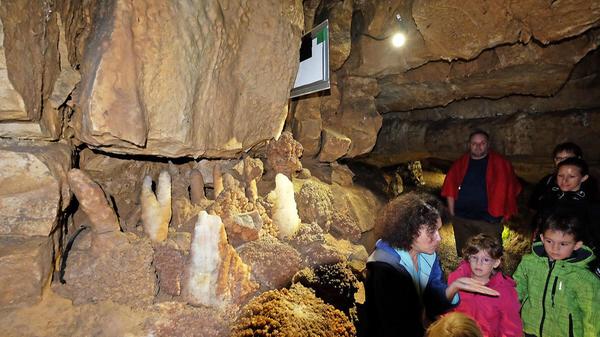Am Freitag, 30. August, dreht sich in der Binghöhle, in Streitberg alles um Kinder. Den gesamten Tag finden dort verschiedene Führungen für die Kleinen statt. Um 11 Uhr startet die Themenführung Fledermaus für Schulkinder ab acht Jahren, um 14 Uhr die Märchenführung für Kindergartenkinder und um 16 Uhr die Abenteuerführung mit Stirnlampen für Schulkinder ab sieben Jahren. Tickets für die jeweiligen Führungen gibt es an den Kassen vor Ort zu erwerben.