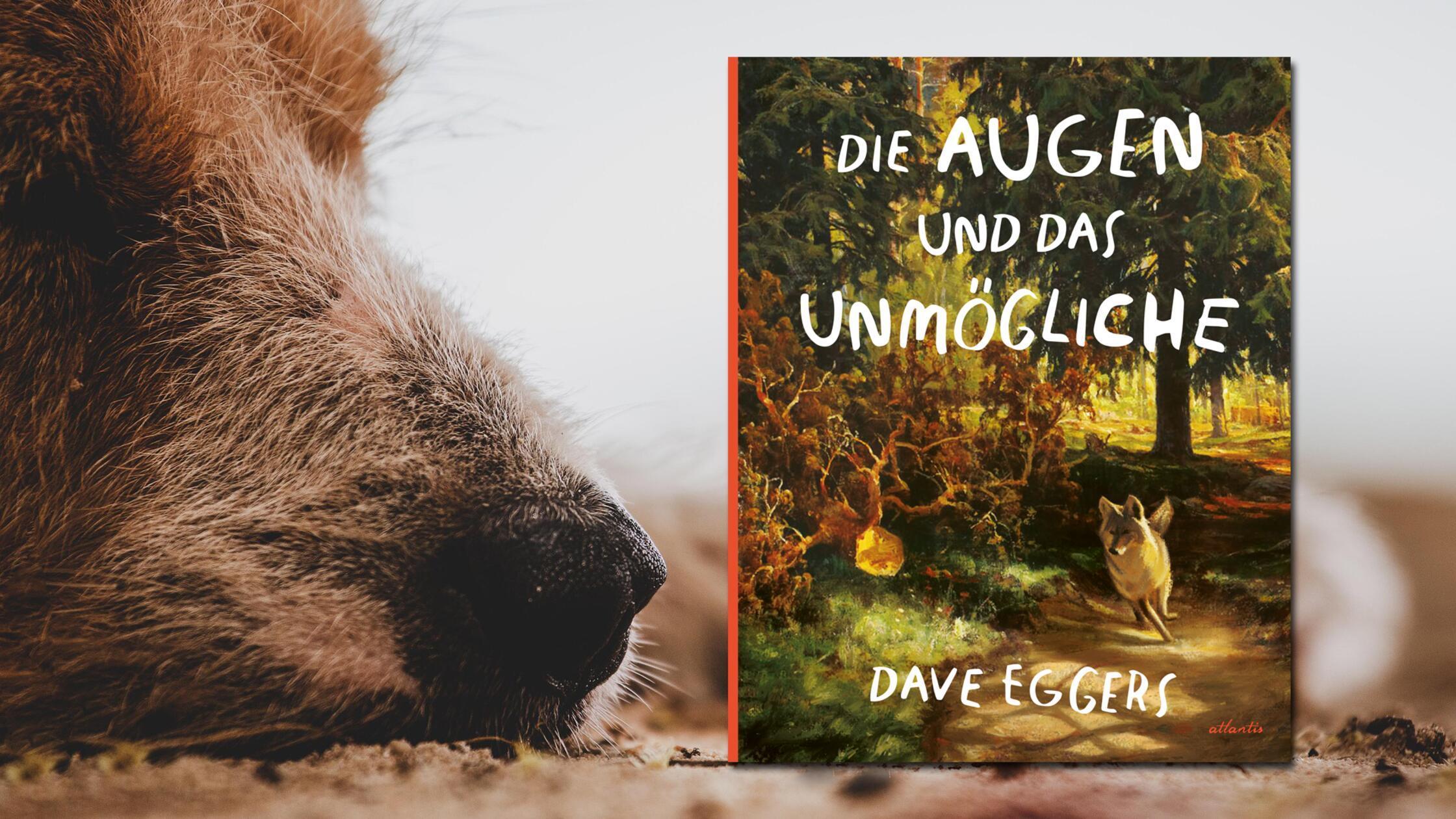 Er möchte kein "Besitzerhund" sein. Johannes lebt frei im Stadtpark. Mit der Tierwelt starrt der Vierbeiner auf Besuchermenschen und wacht über das Gleichgewicht vor Ort. Da der Hund so schnell ist, hat er alles im Blick. Deswegen heißt er "Die Augen". Er muss beobachten, wie sich die grüne Zuflucht verändert. Immer mehr Menschen, neue Gebäude … Und der Hund reagiert. Das bildgewaltig illustrierte Buch "Die Augen und das Unmögliche" von Bestseller-Autor Dave Eggers ("Ein Hologramm für den König") ist eine Geschichte über Freundschaft, Mut und das Gleichgewicht auf der Erde. Ernstes Thema. Aber auch anrührender Lesestoff für jedes Alter. (Atlantis-Verlag, 24 Euro) Claudia Beyer