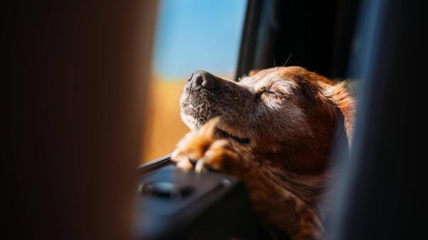 imago images 0364568823