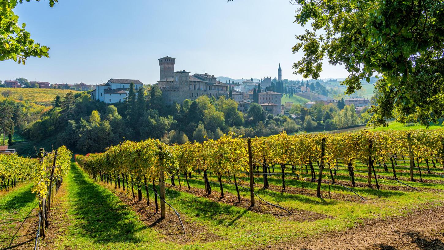 In der Emilia Romagna leuchten nicht nur die Weinberge, auch der passende Käse zum Getränk wird hier produziert. In der Emilia Romagna leuchten nicht nur die Weinberge, auch der passende Käse zum Getränk wird hier produziert.