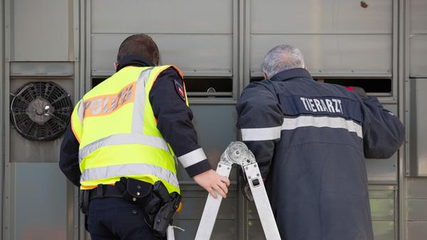 urn:newsml:dpa.com:20090101:240823-935-220111