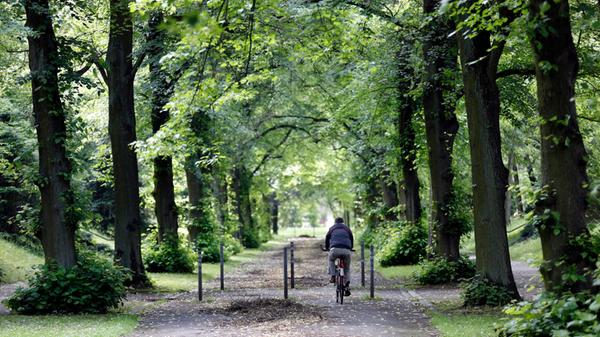 Naherholung auf den Friedhoefen