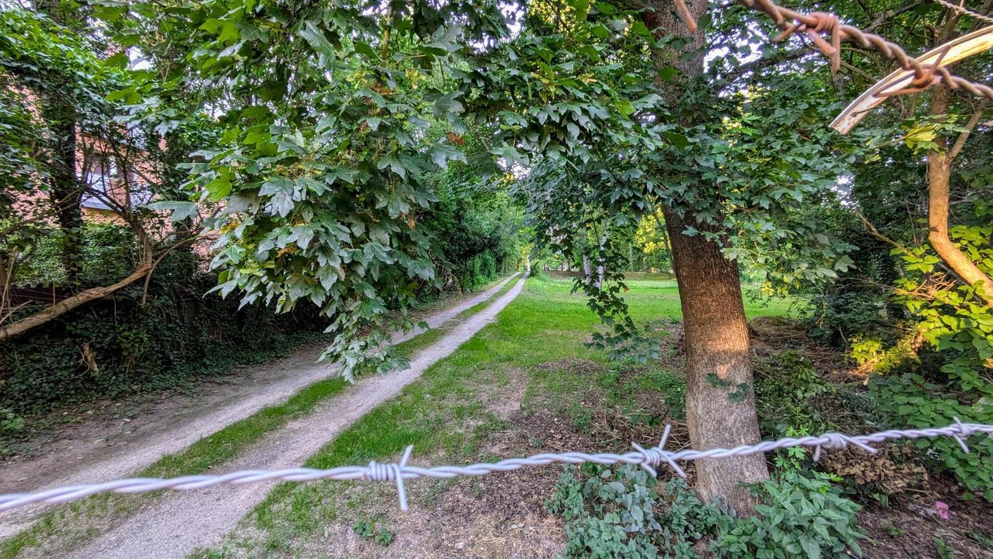 Hinter dem Zaun mit Stacheldraht liegt der Garten der Hirschmann-Villa. Hier konnte sich Flora und Fauna ungestört entwickeln. Hinter dem Zaun mit Stacheldraht liegt der Garten der Hirschmann-Villa. Hier konnte sich Flora und Fauna ungestört entwickeln.
