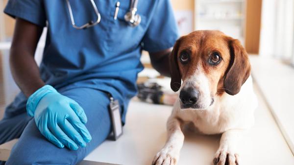 imago images 0391689080