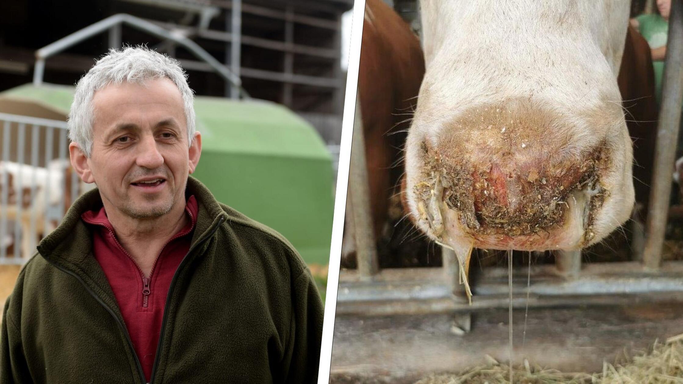 2024-09-09_12-39_collage