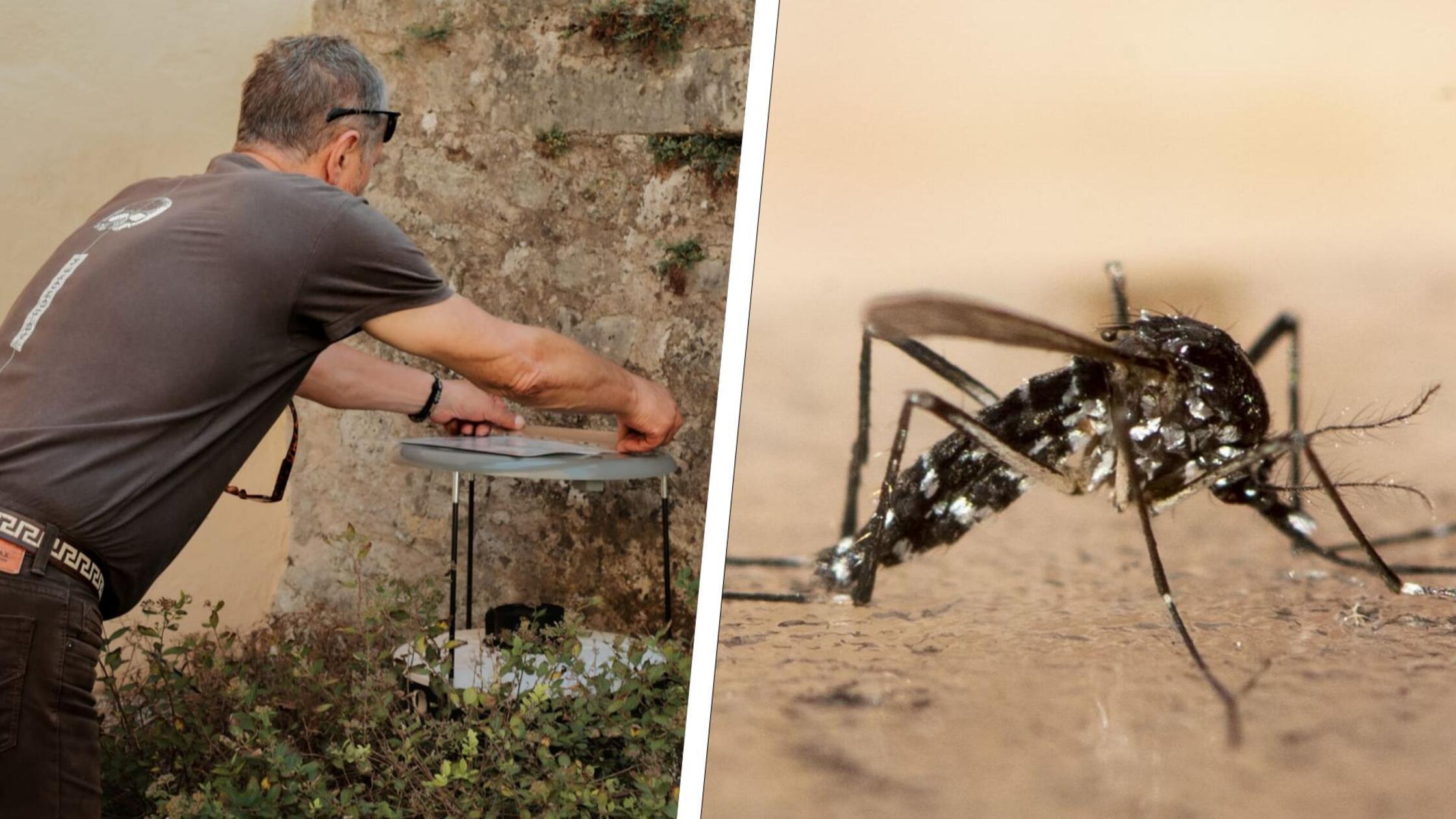 2024-09-11_09-13_collage