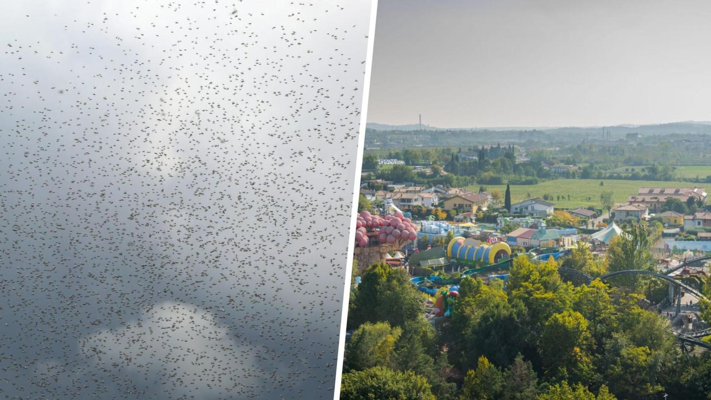 Im Freizeitpark Gardaland am Gardasee in Italien griffen Mückenschwärme Besucher an. (Symbolbild) Im Freizeitpark Gardaland am Gardasee in Italien griffen Mückenschwärme Besucher an. (Symbolbild)