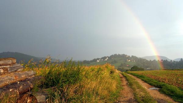Ein Regenbogen über dem Hersbrucker Michelsberg, aufgenommen von Leserfotografin Manfred Pittroff.