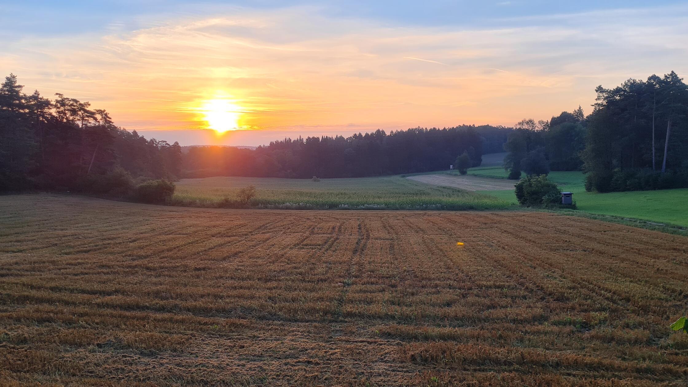Die Ernte ist eingebracht. Morgenstimmung in der Hersbrucker Schweiz, fotografiert von Björn Schukat.