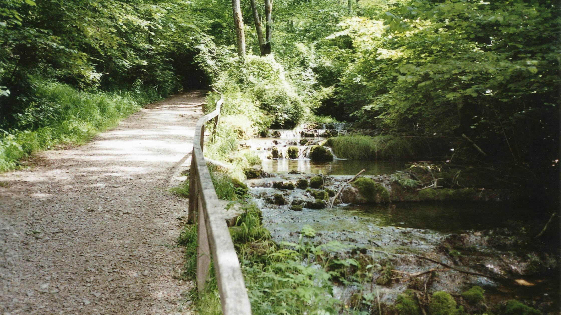 Der_Weg_zur_Lillachquelle_zaehlt_im_Sommer_zu_den_